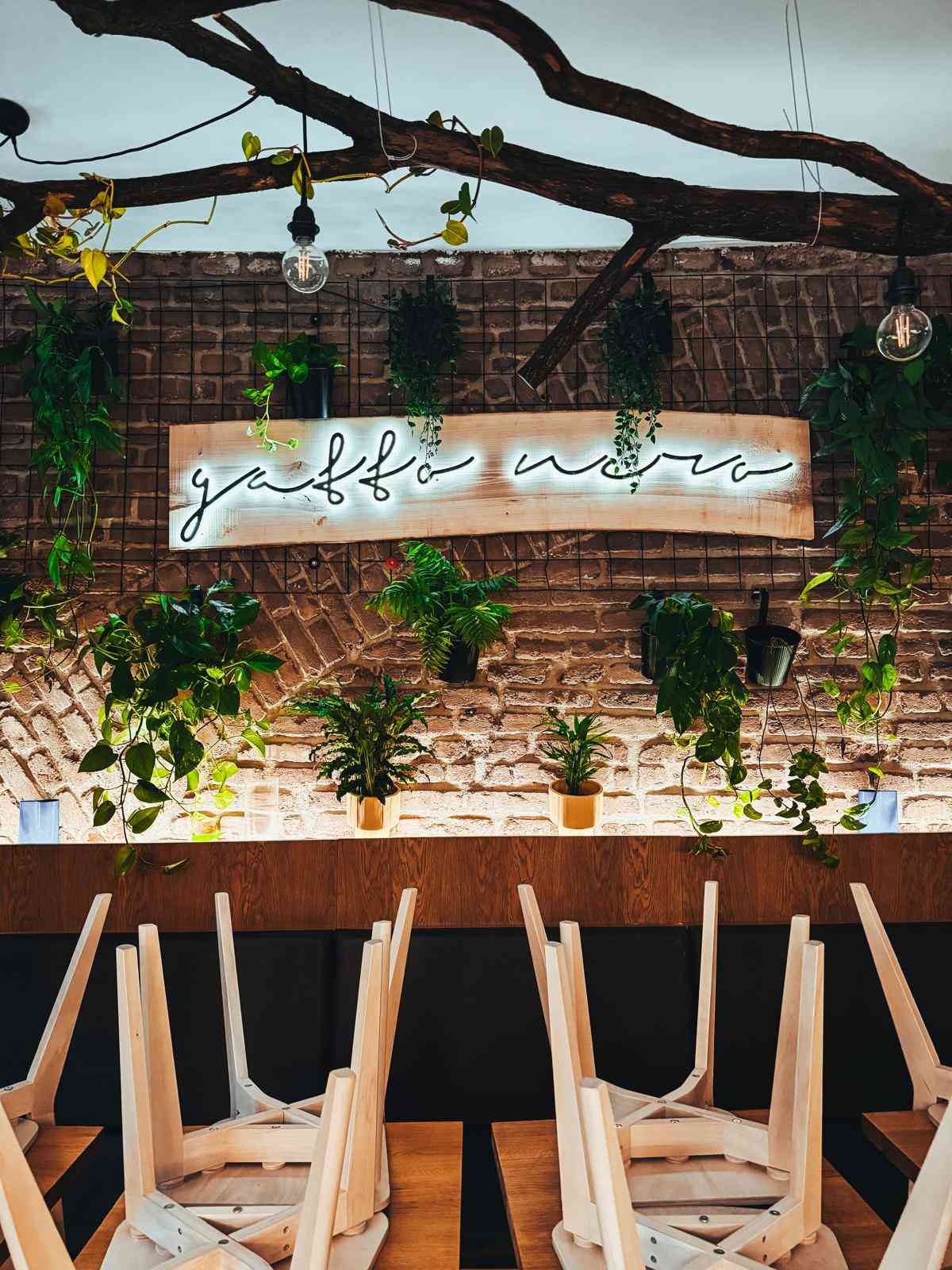 Pizza Gatto Nero Holešovice